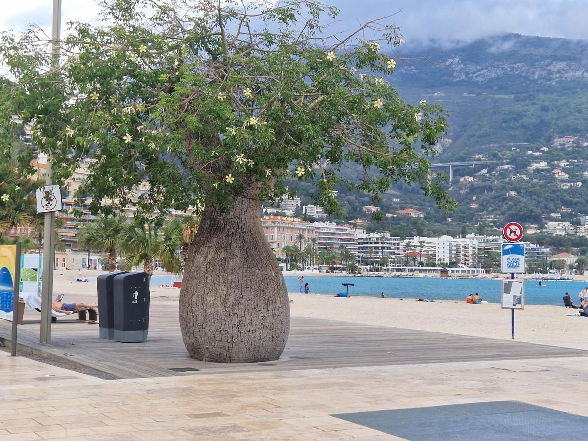 Le 182 Promenade Du Soleil Apartment Menton Exterior photo